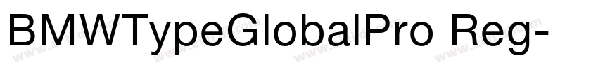 BMWTypeGlobalPro Reg字体转换